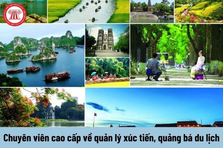 Hotspot Matrix: Chìa khóa vàng cho giáo viên tiếng Anh kiếm thêm thu nhập