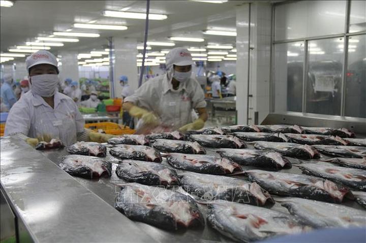 Cô giáo mầm non và hành trình 