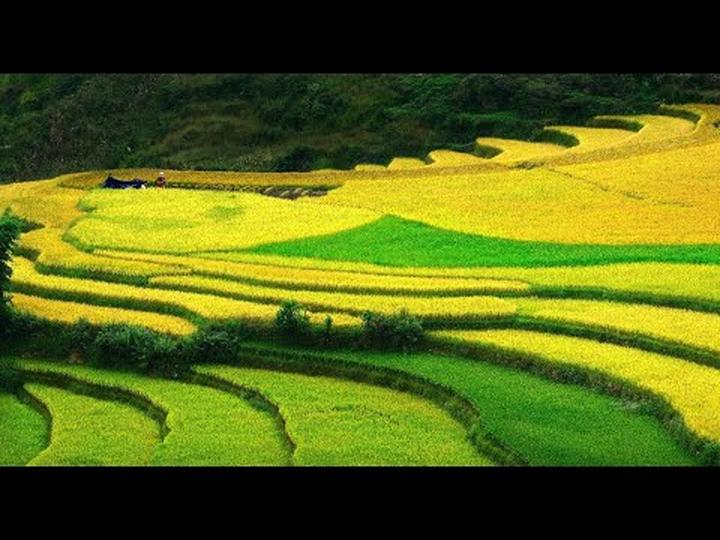 Jollibee Việt Nam mang “Vui - Cảm hứng video marketing từ Hotspot Matrix