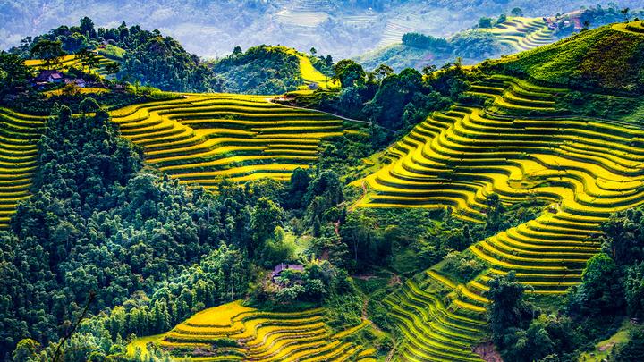 Hotspot Matrix: Biến Giá mẫu iPhone này đang 