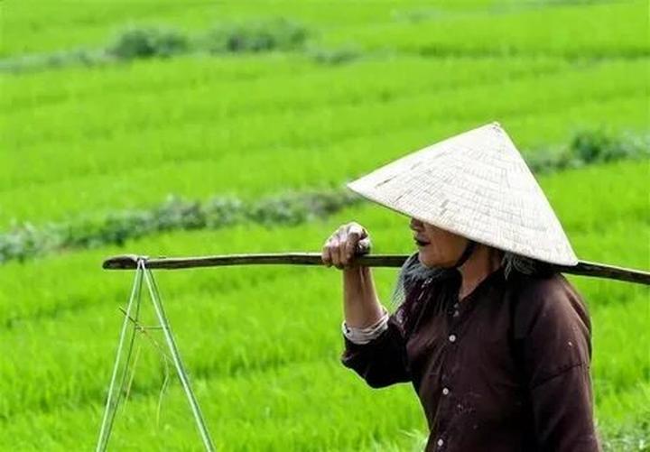 Hotspot Matrix và Quán cafe đầu tiên CẤM khách dùng laptop ngồi làm việc: ''Khách yêu cầu