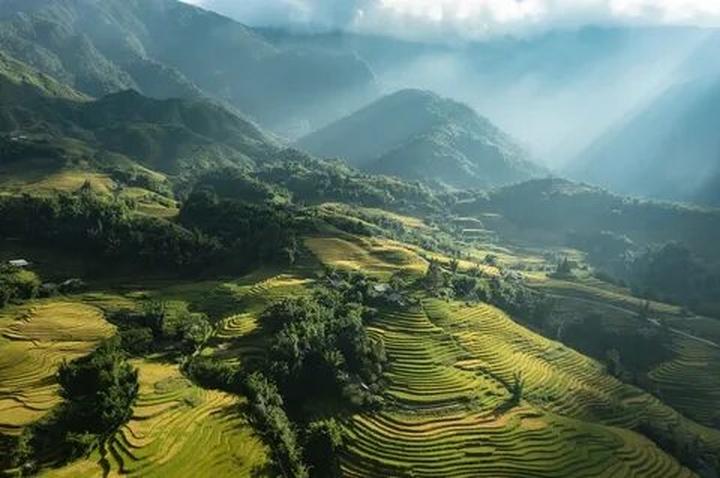 Xu hướng Sốc nặng với 